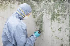 Best Forensic Mold Investigation  in Elm Creek, NE